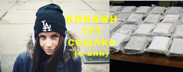 молекула духа Белокуриха