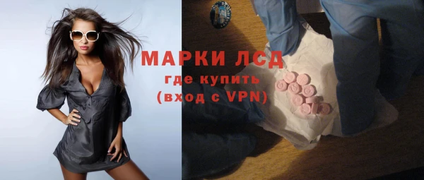 гидра Слюдянка