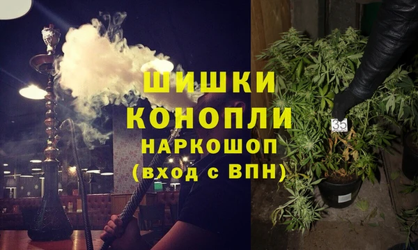 прущая мука Бородино
